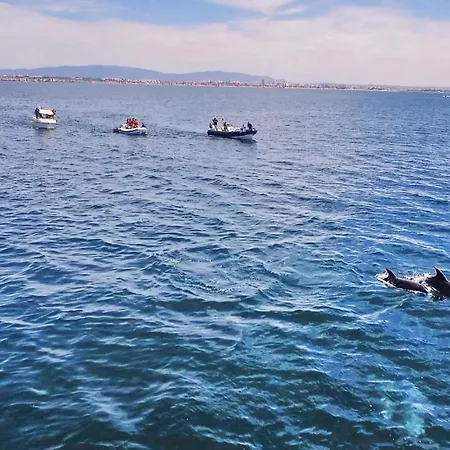 빌라 Belize By Algarve Vacation